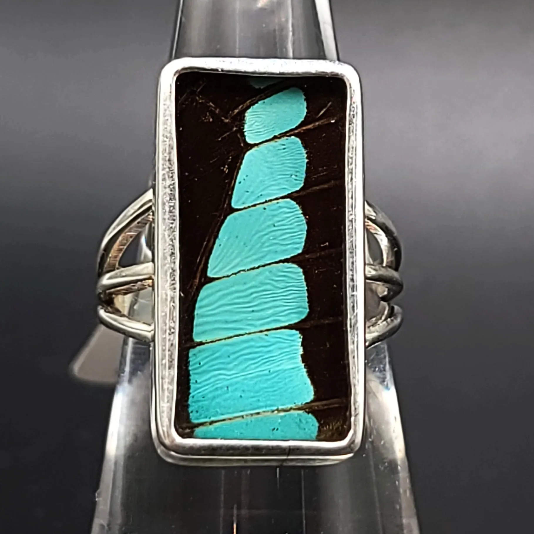 Blue Bottle Butterfly Wing Ring Sterling Silver Band Size 7
