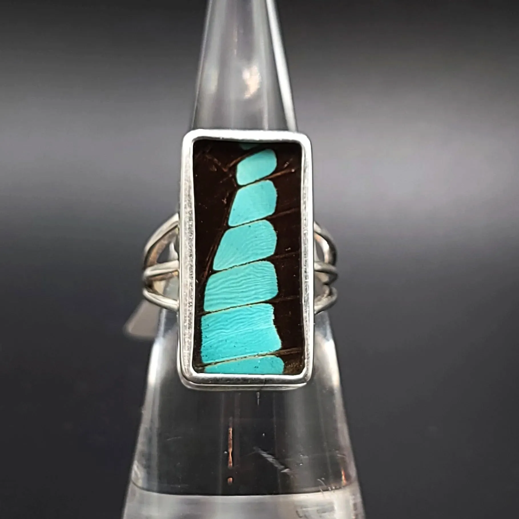 Blue Bottle Butterfly Wing Ring Sterling Silver Band Size 7