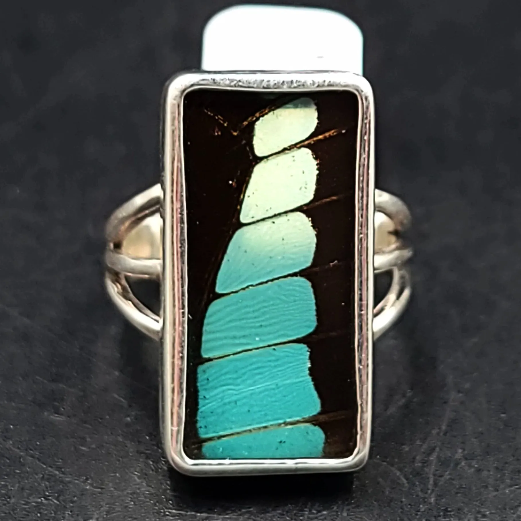 Blue Bottle Butterfly Wing Ring Sterling Silver Band Size 7