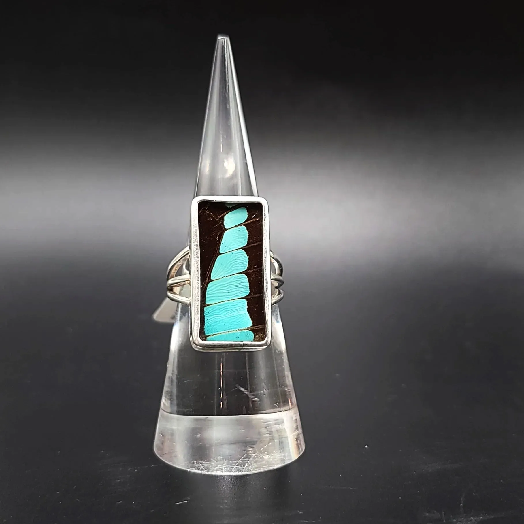 Blue Bottle Butterfly Wing Ring Sterling Silver Band Size 7