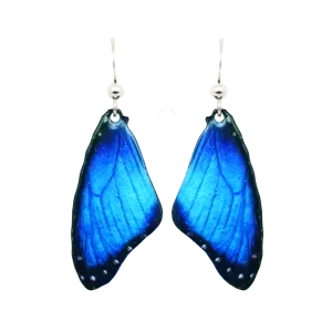 Blue Morpho Earrings, Sterling Silver Earwires, Item# 2303