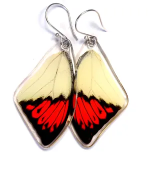 Butterfly earrings, Hebomoia Glaucippe, top wings