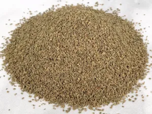 Celery Seed