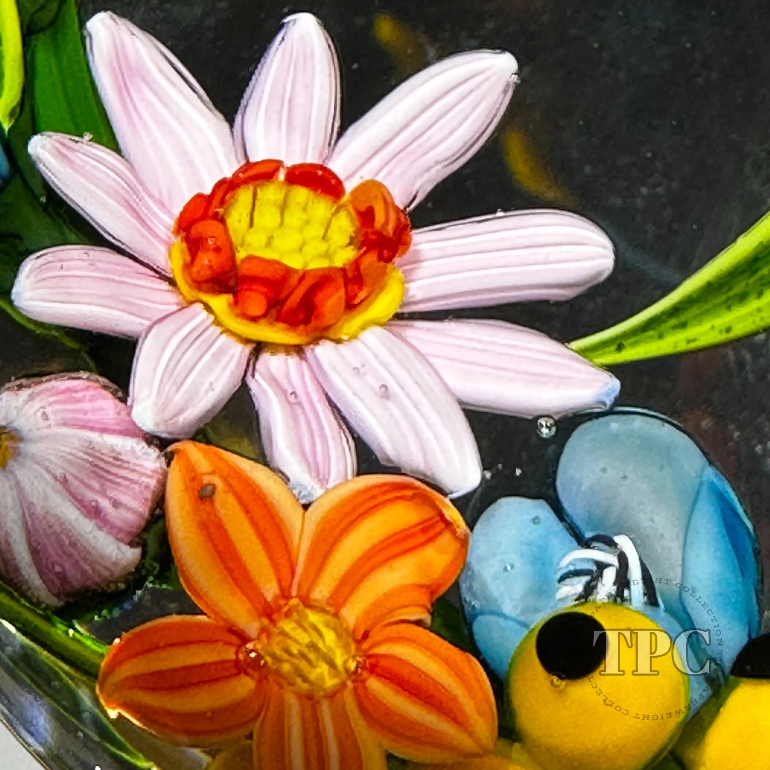 Colin Richardson 2022 Glass Art Paperweight Flamework Floral & Berry Crescent Bouquet "Asters in the House of Orange"