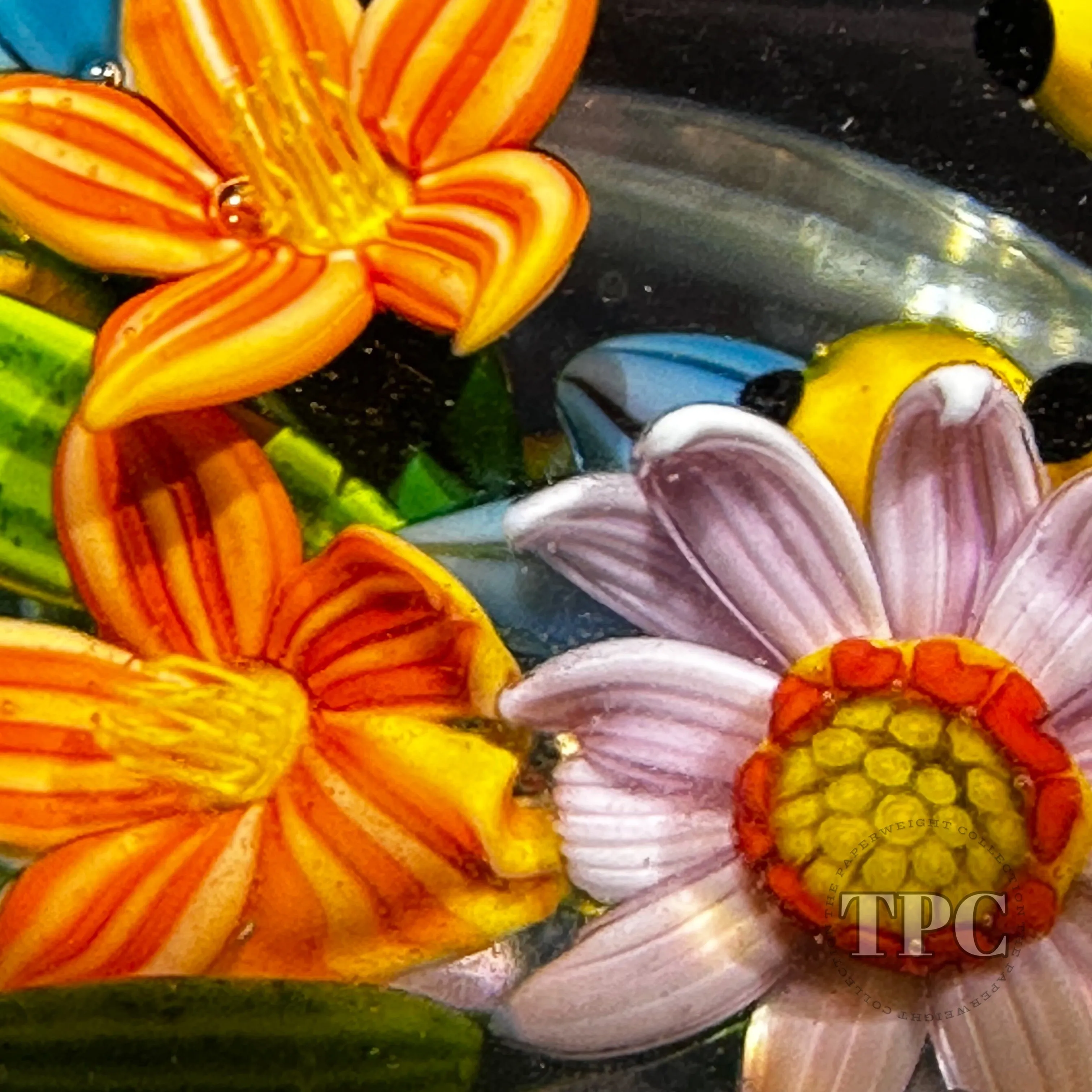 Colin Richardson 2022 Glass Art Paperweight Flamework Floral & Berry Crescent Bouquet "Asters in the House of Orange"