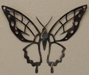 Detailed Butterfly