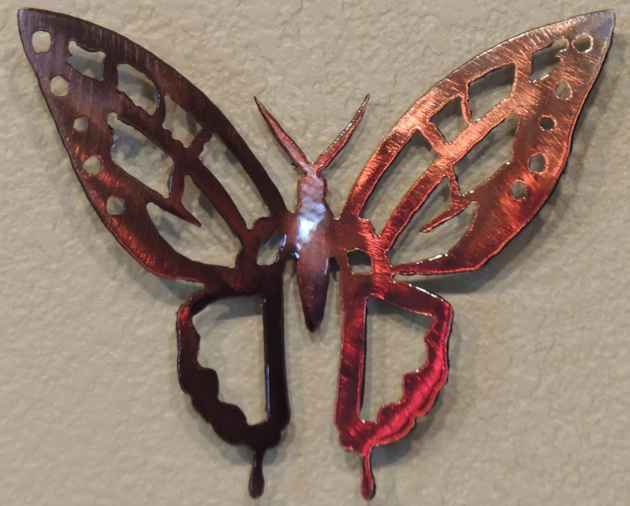 Detailed Butterfly