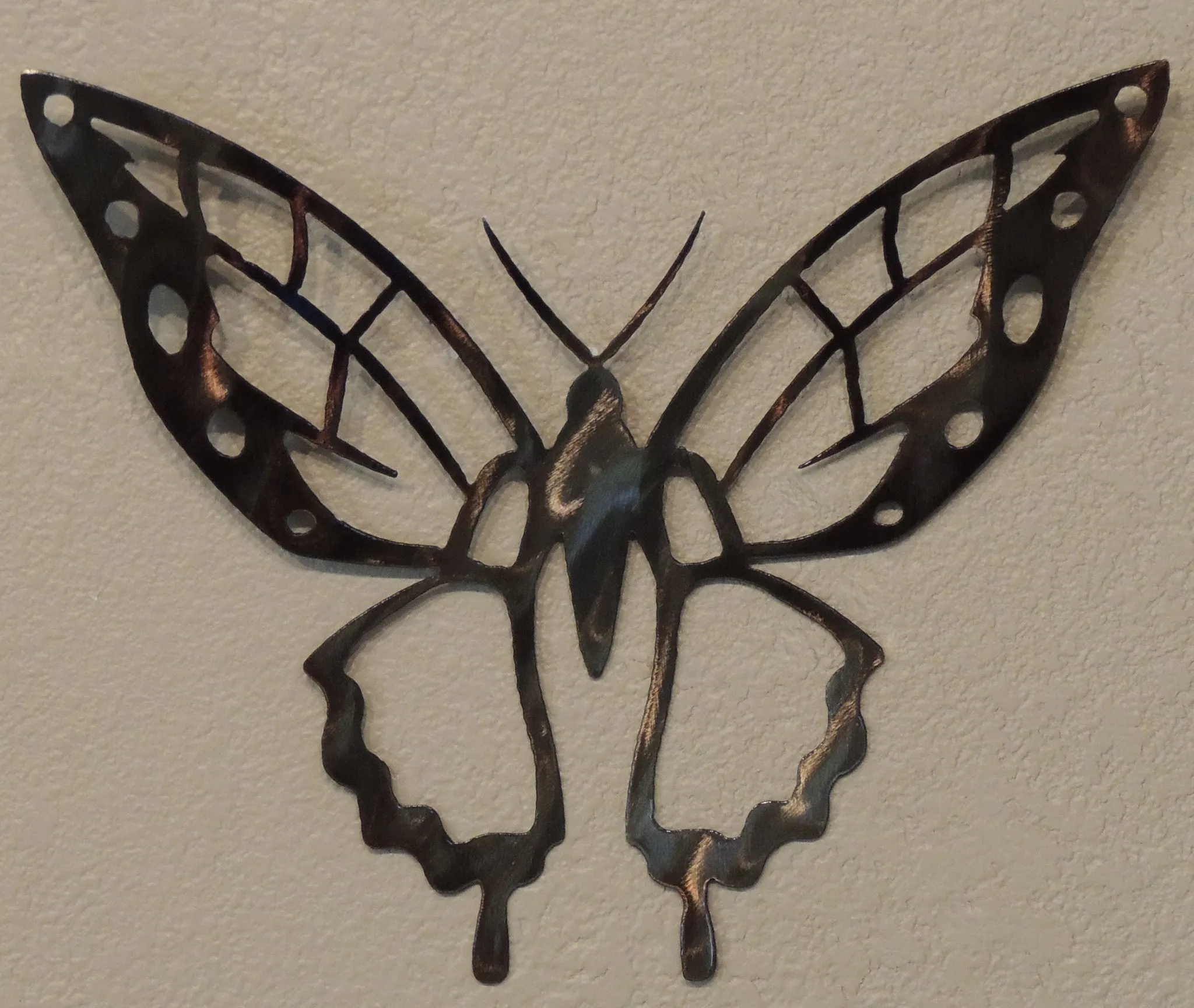 Detailed Butterfly