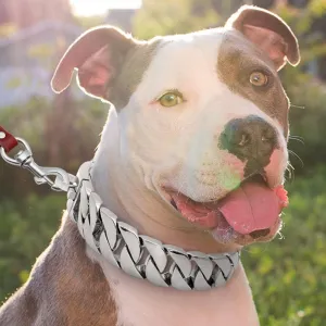 Gold Cuban Link Chain Collars for Dogs