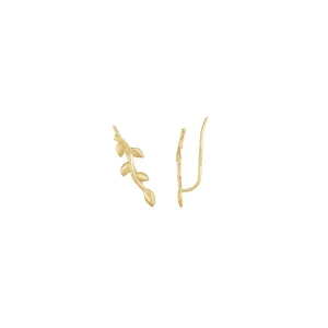Golden Leafy Branch Ear Climbers (14K)