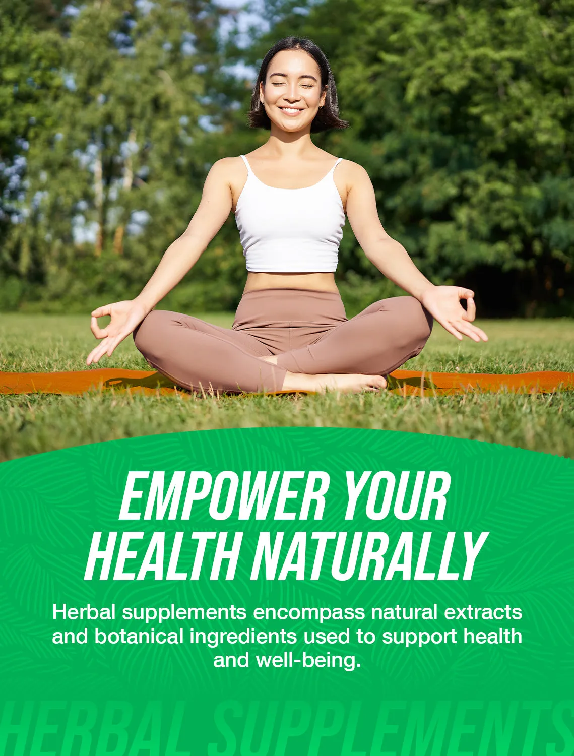 Hawthorn Leaf Extract Powder