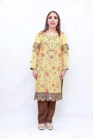 Indian Chiffon Embroidered Shirt and Trouser Dress