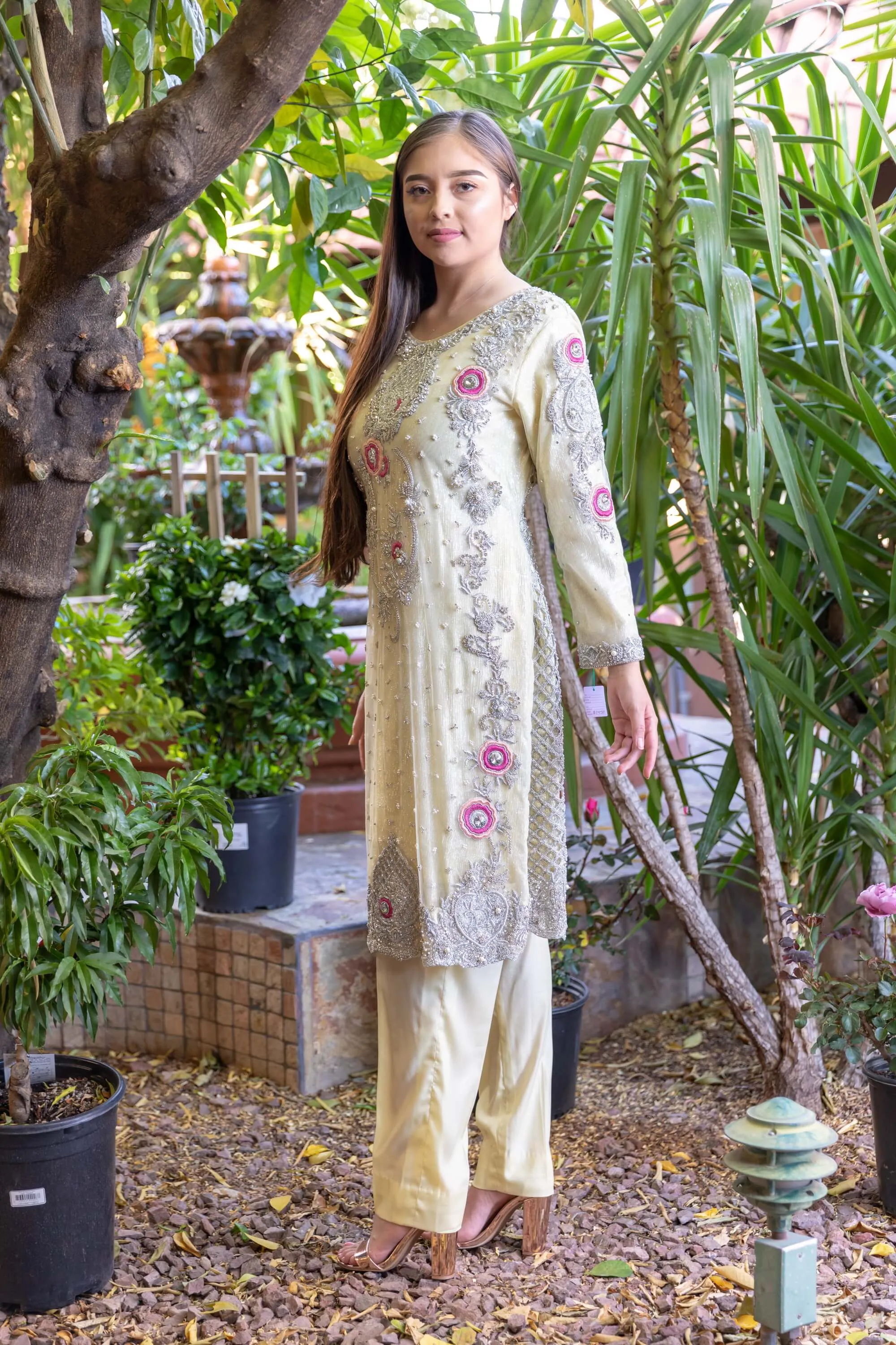 Indian Pakistani Bridal Dress