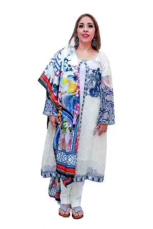 Indian Pakistani Net Dress / Shawl
