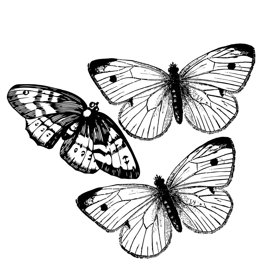Laser Engraved Wall Decals