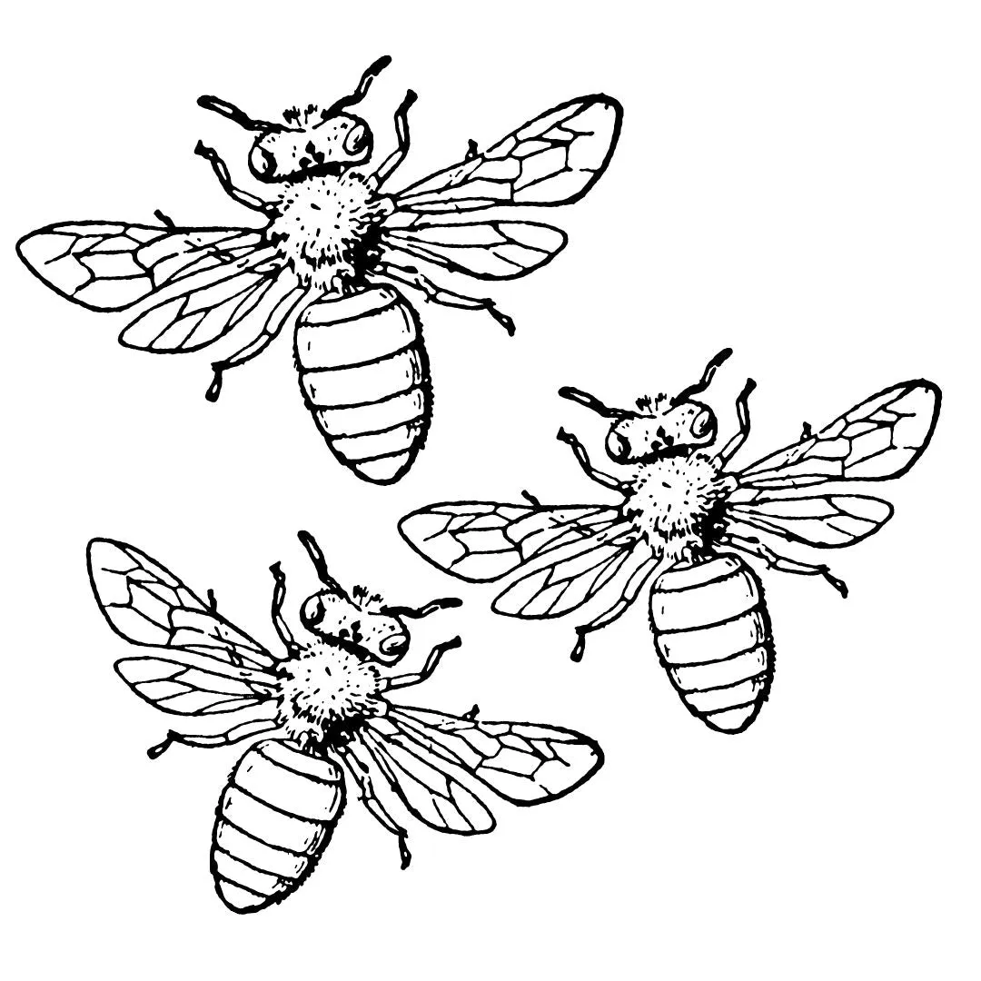 Laser Engraved Wall Decals