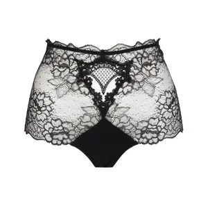 Lise Charmel Sublime en Dentelle Lace Retro Brief