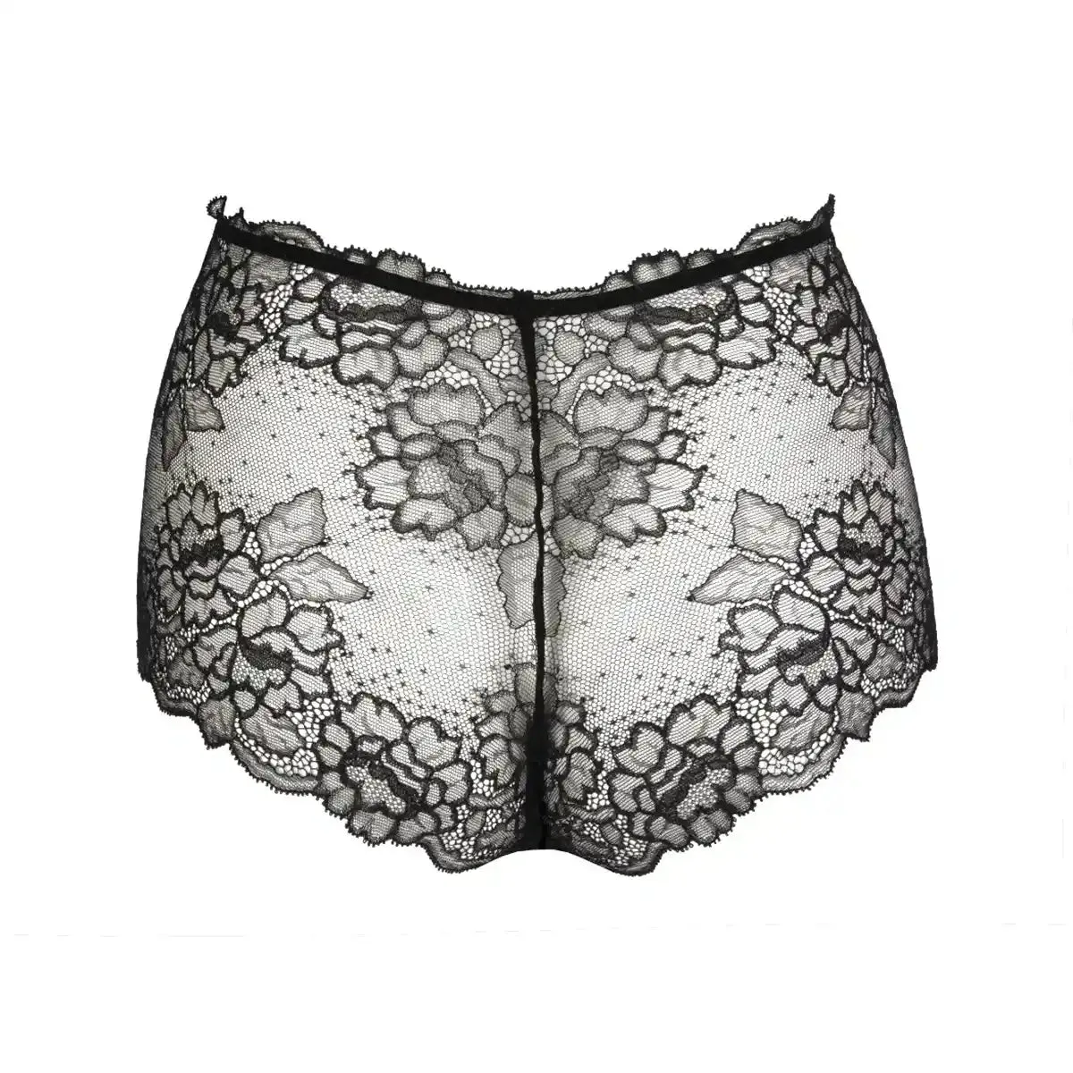 Lise Charmel Sublime en Dentelle Lace Retro Brief