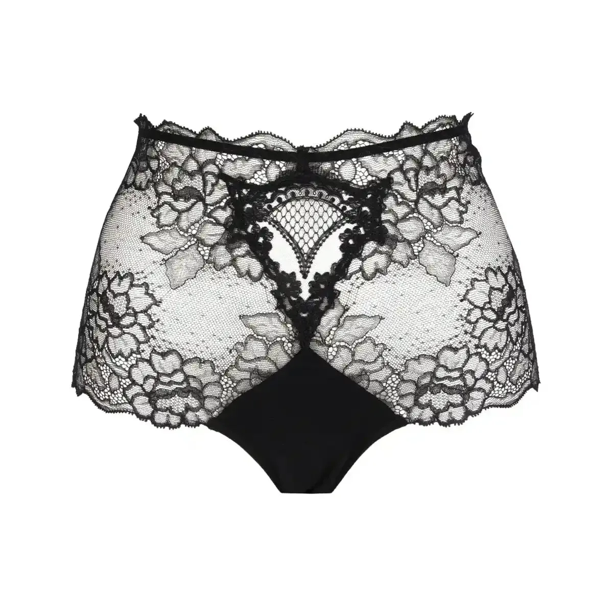 Lise Charmel Sublime en Dentelle Lace Retro Brief