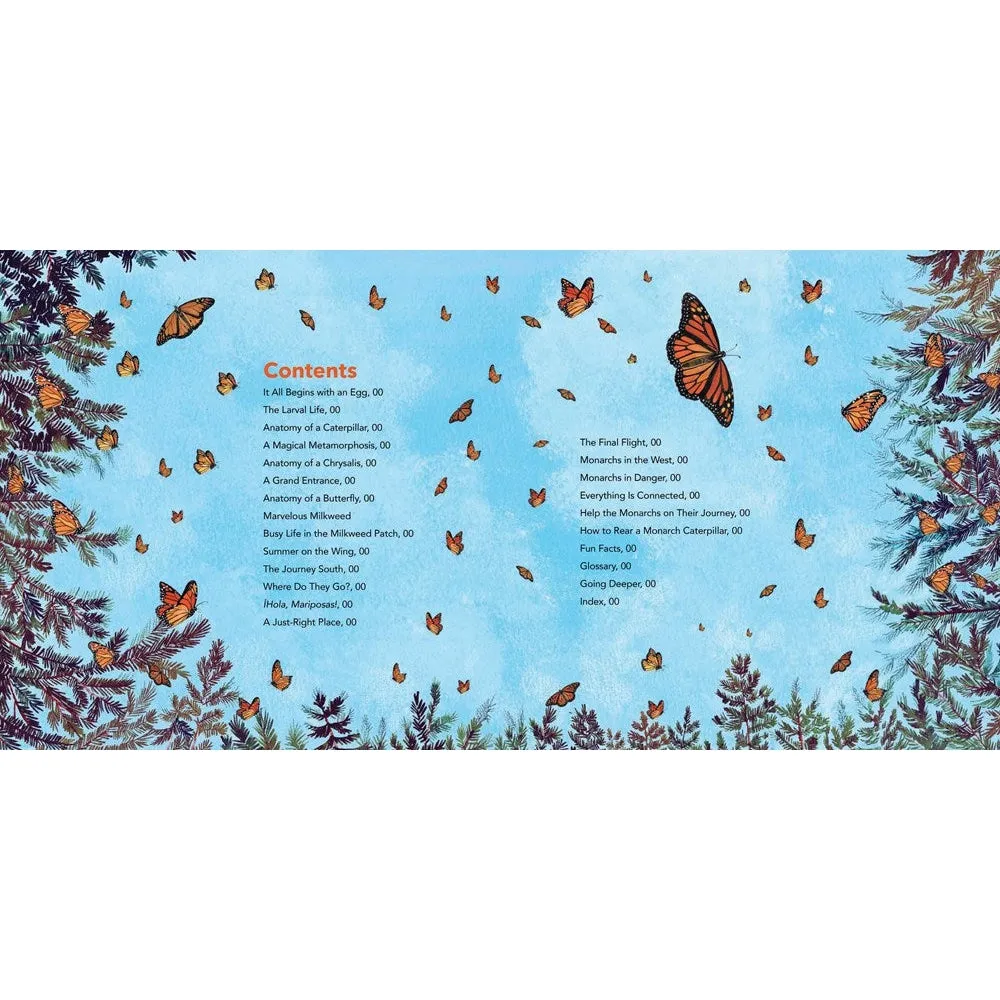 Monarch Butterlies