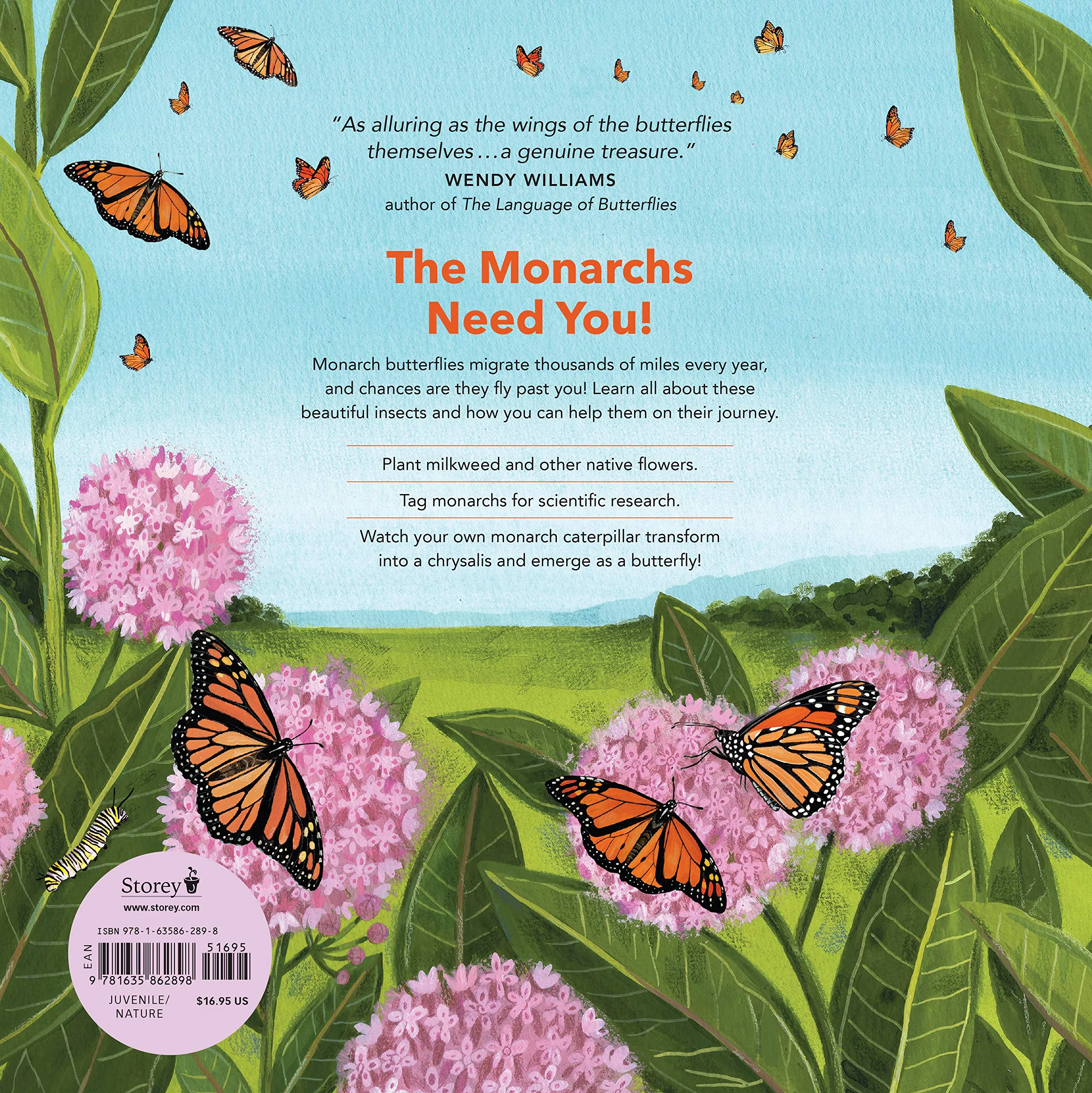 Monarch Butterlies