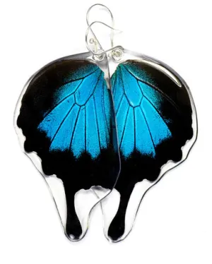 Petal Connection - Butterfly Earrings | Mountain Blue Swallowtail (Bottom Wing) #0400-B-ER