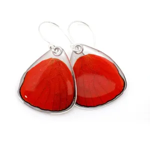 Petal Connection - Butterfly Earrings | Red Flasher (Bottom Wing) #0645-B-ER
