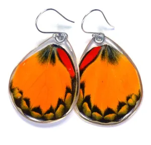 Petal Connection - Butterfly Earrings | Yellow Jezebel (Bottom Wing) #0290-B-ER