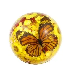 Real Butterfly Half-Dome Real Nature Gift
