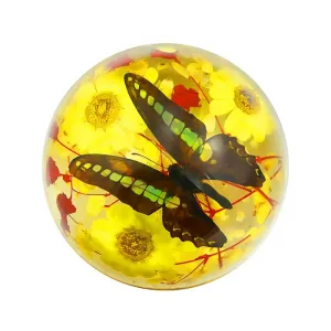 Real Butterfly Half-Dome Real Nature Gift