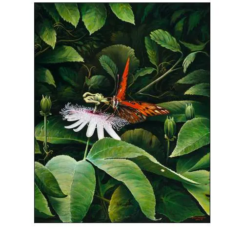 Snacking Butterfly