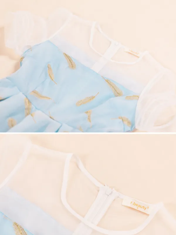 soft sky organza dress