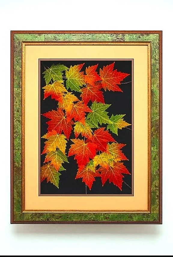 Sugar Maple Leaves 18 x 24