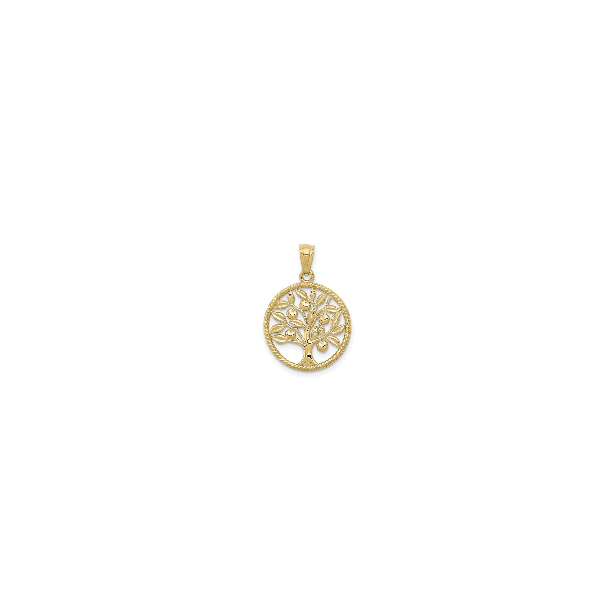 Tree of Life Rope Framed Medallion (14K)