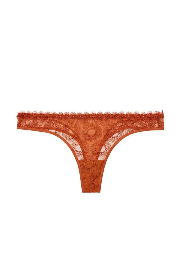Utopia Tanga- Jaipur Tanga