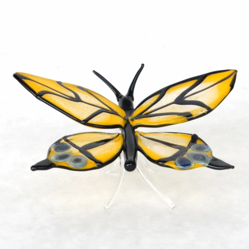 Yellow Glass Swallowtail Butterfly